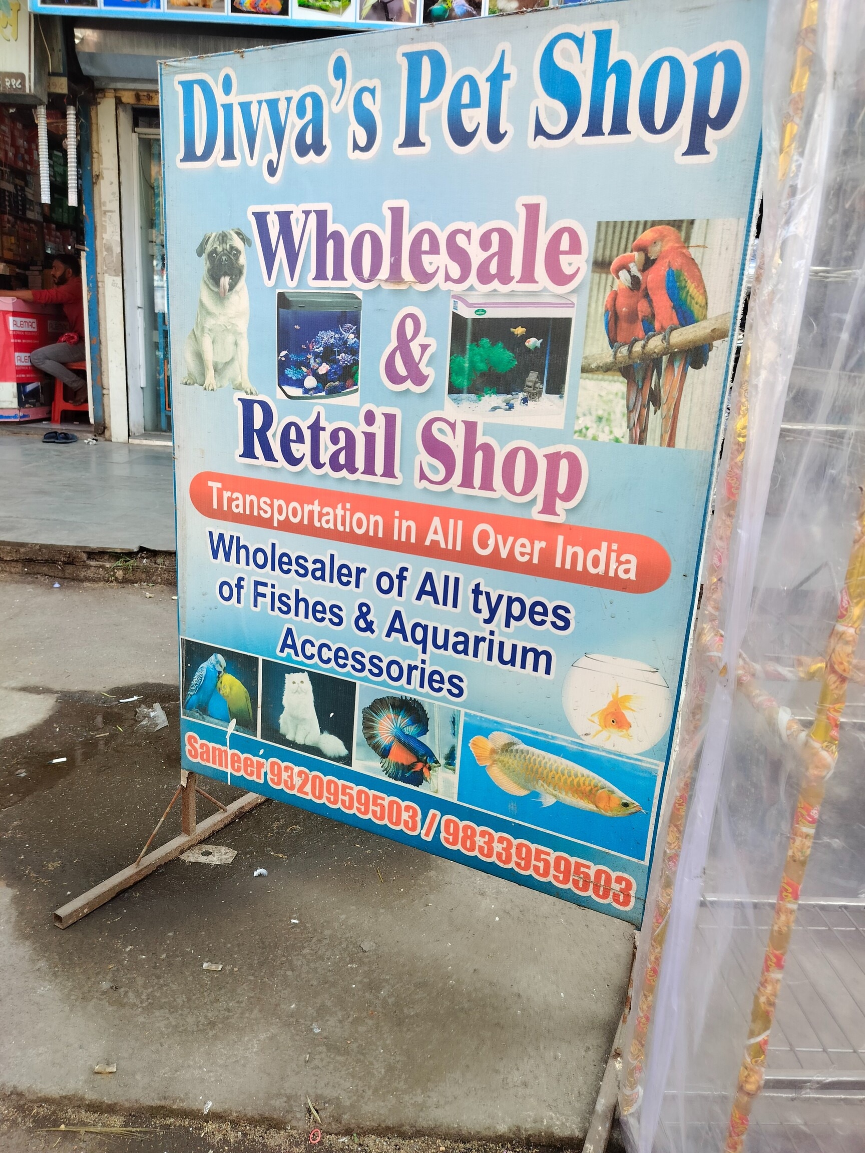 Aqua Pets Pet Shop In Kharghar Cheap Divya Aquarium And Pet