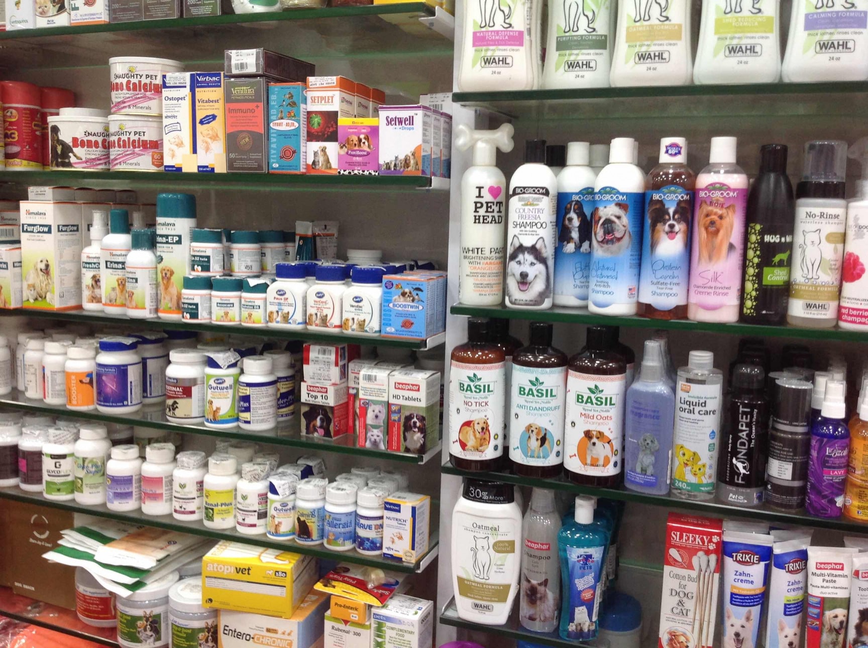 Buy roman pet shop Clearance