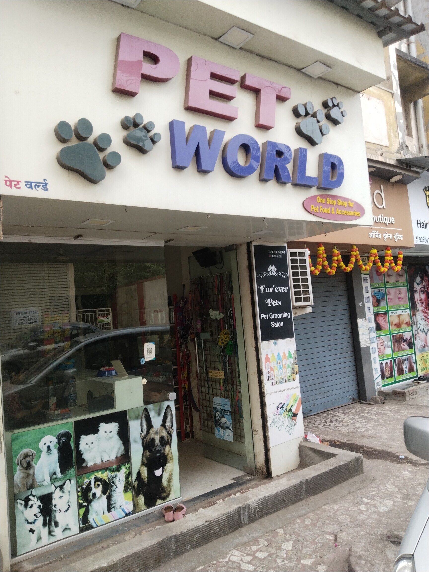 Dog pet shop in panvel hotsell