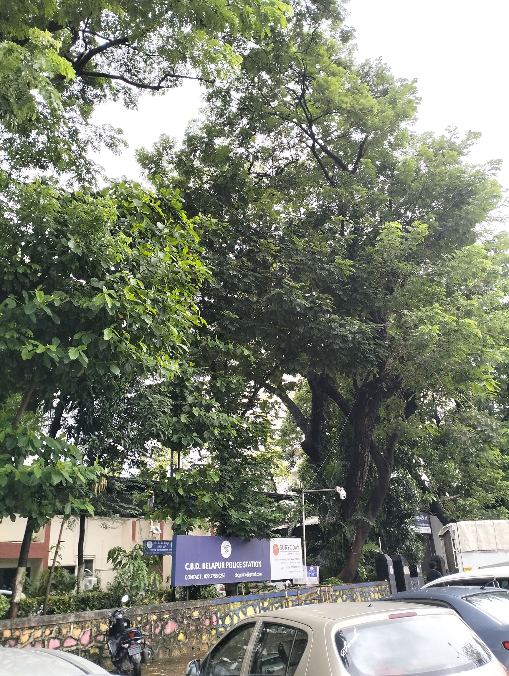Lab view 15