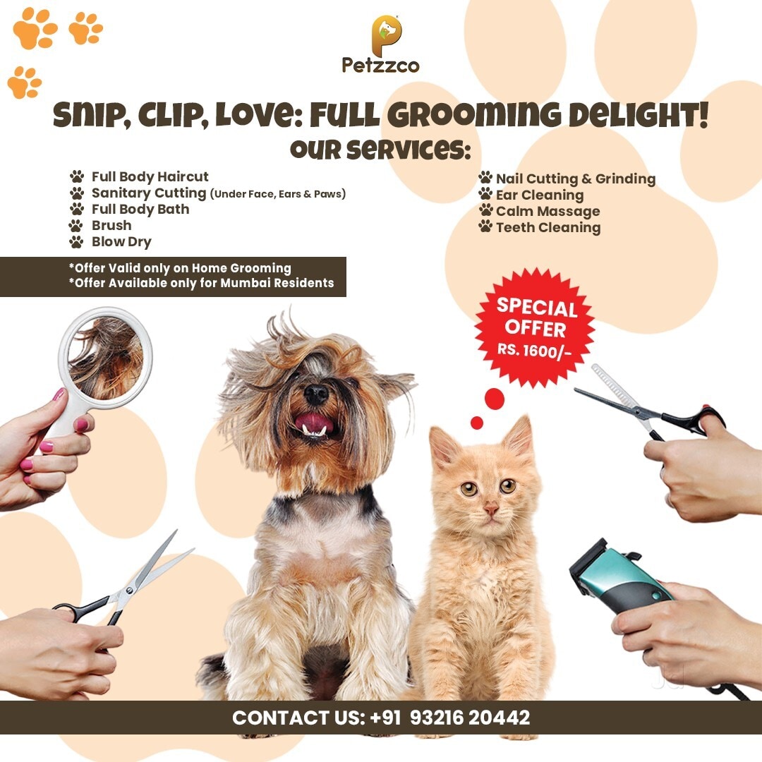 Bark Avenue Grooming Salon Dog Grooming IBark Grooming Salon (Pet
