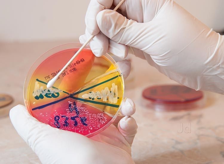 Lab view 17