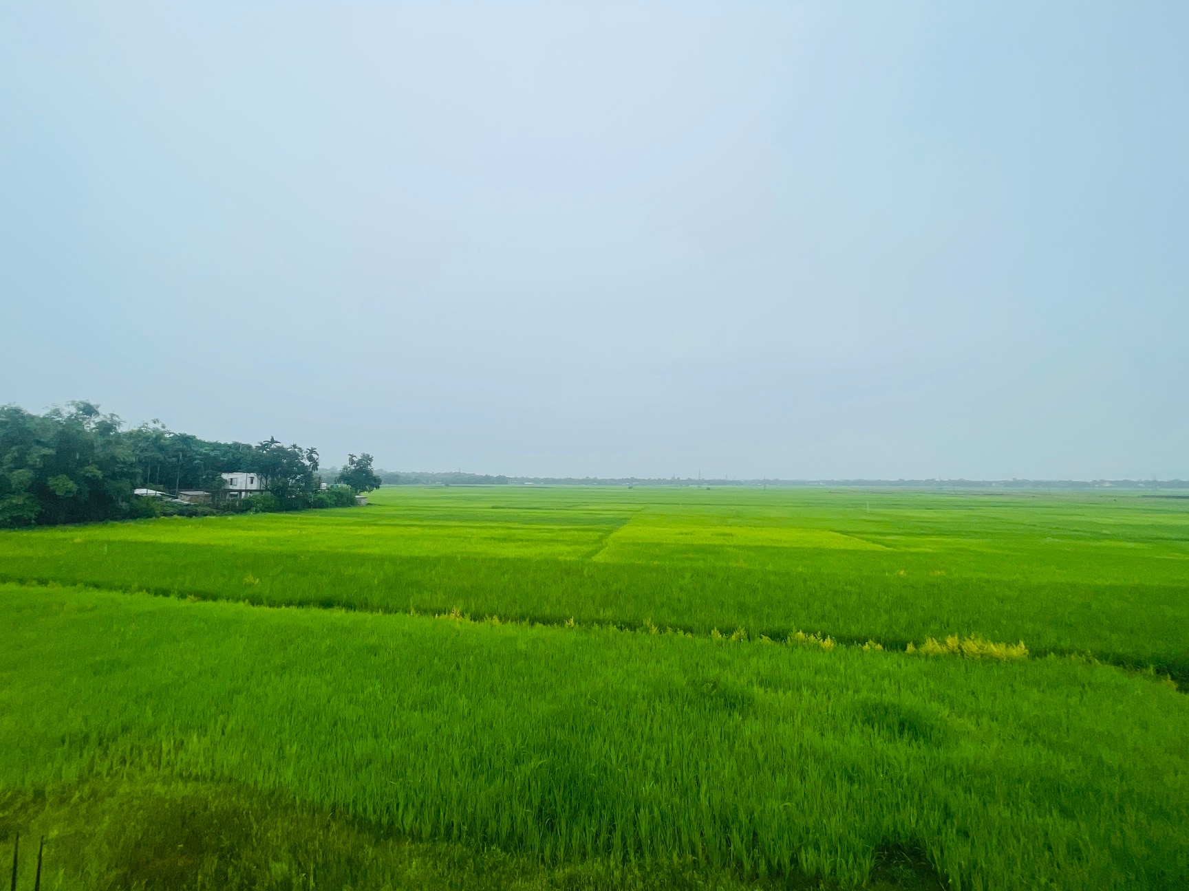 Lab view 5