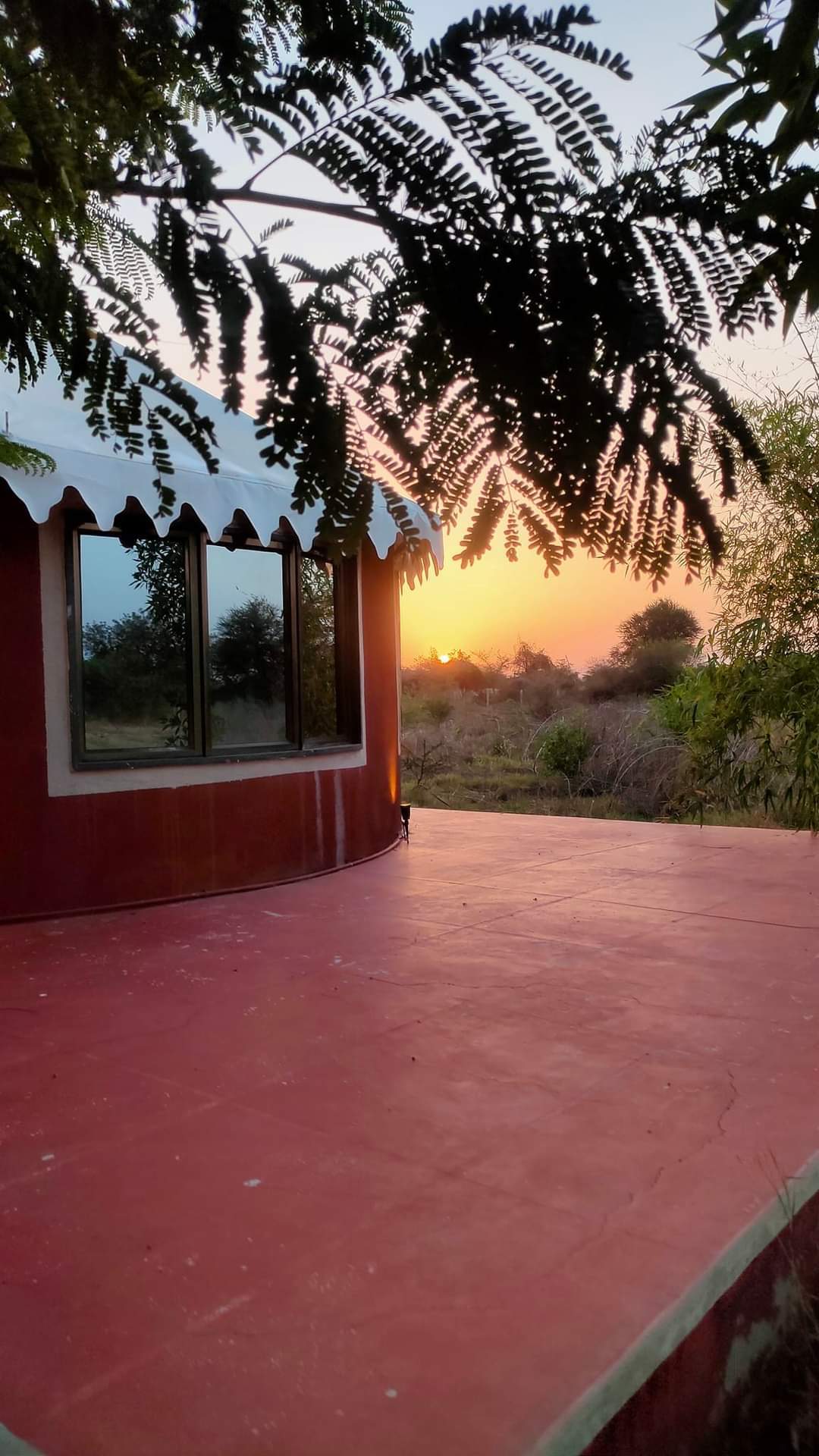 Book Kross Adventure Campsite Jawai in Jawai Bandh,Pali-rajasthan - Best  Hotels near me in Pali-rajasthan - Justdial