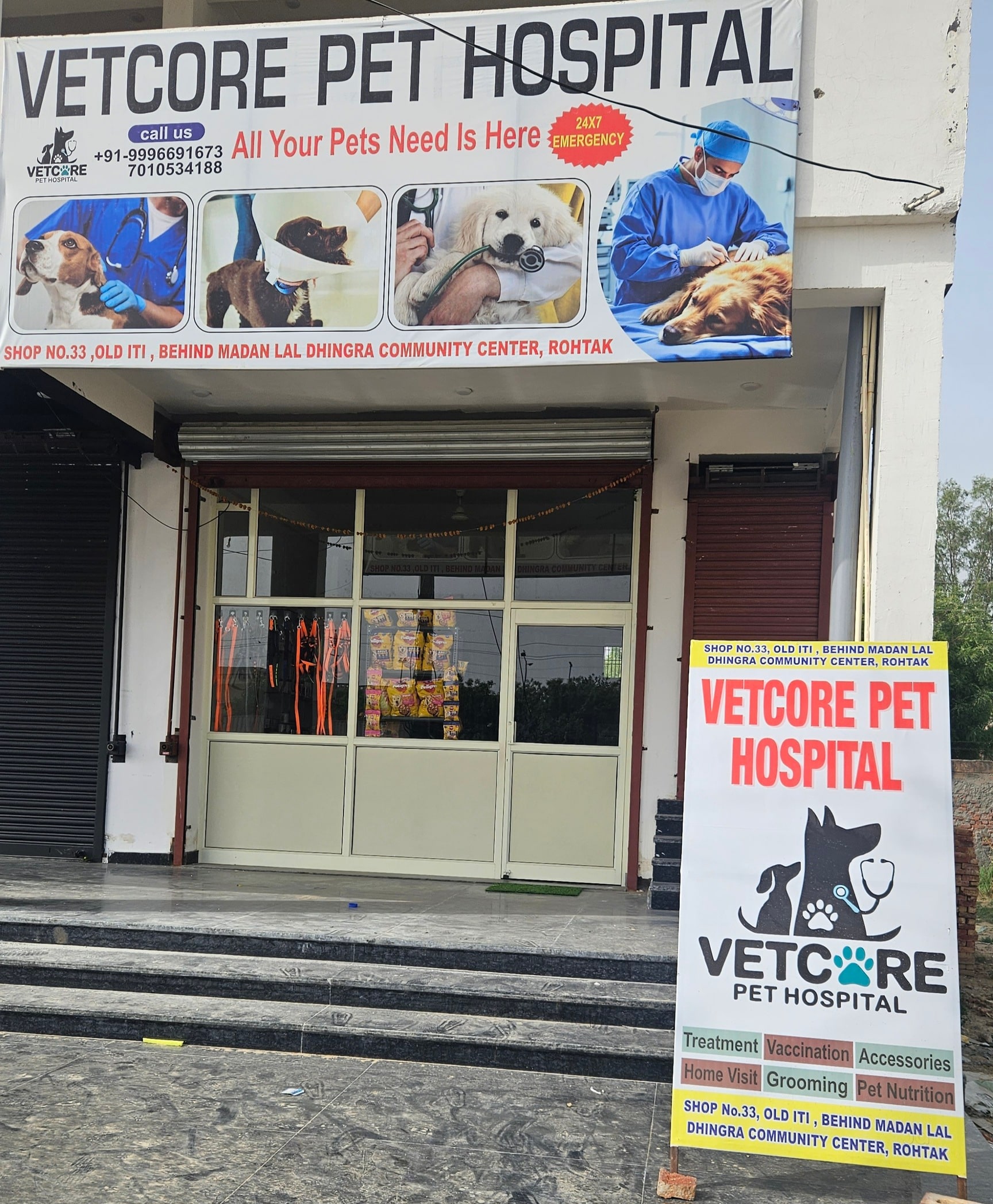 Pet Clinic Cheap Vets Around Me Local Hospital For Pets Near Me