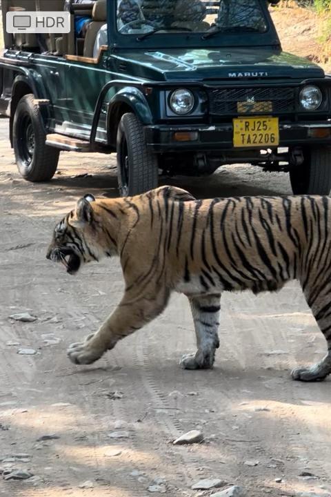 Sultan Wild Vacations