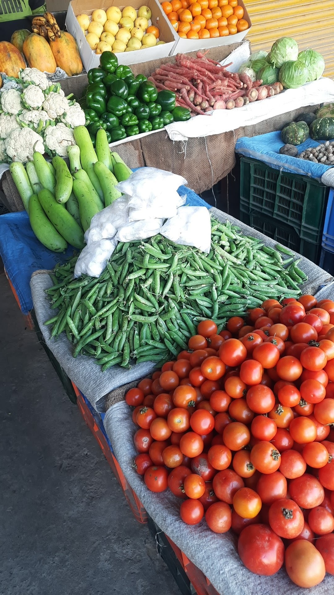 Solan fruits (88) foto