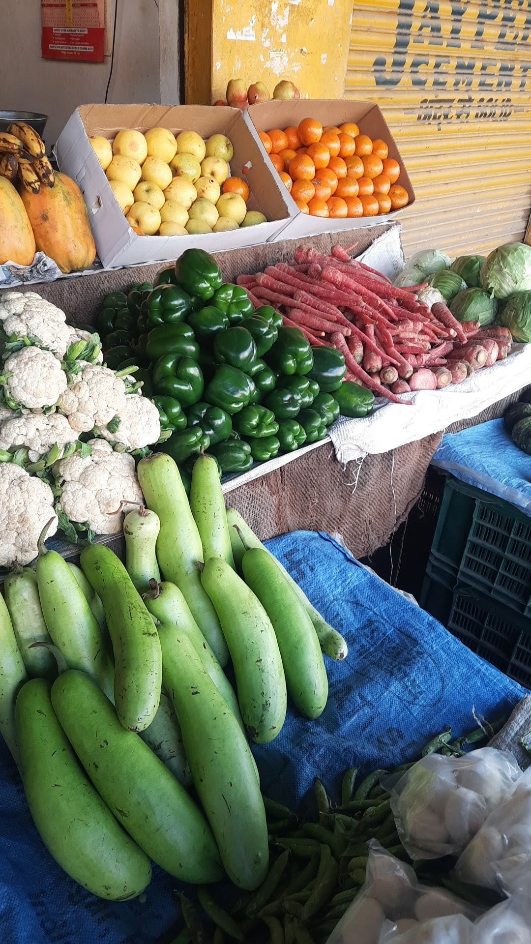 Surender Fruits and Vegetables in Kunihar,Solan - Best Fruit Vendors near  me in Solan - Justdial