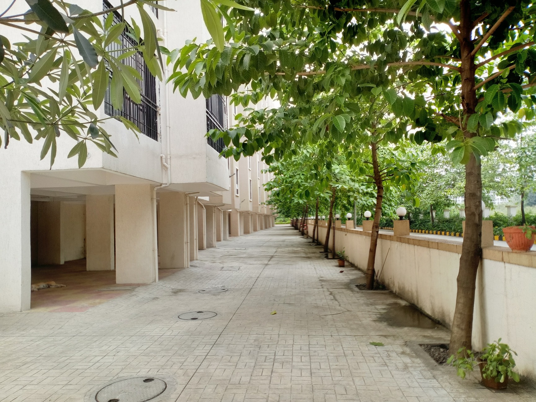 Lab view 8