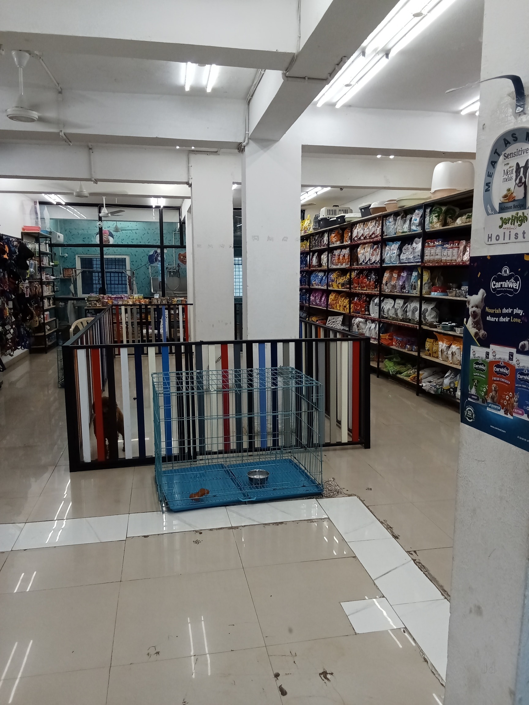 Marshalls Pet Zone & Pet Spa in Bhavanipuram,Vijayawada - Best Pet